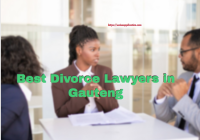 Best Divorce Lawyers in Gauteng