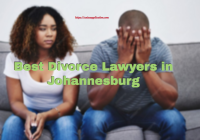 Best Divorce Lawyers in Johannesburg