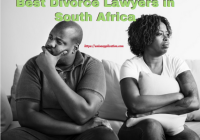 Best Divorce Lawyers in South Africa