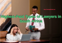 Highest-Paid Types of Lawyers in South Africa