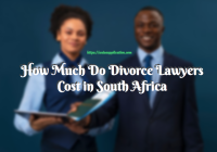 How Much Do Divorce Lawyers Cost in South Africa