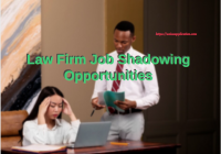 Law Firm Job Shadowing Opportunities