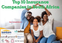 Top 10 Insurance Companies in South Africa