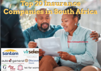 Top 20 Insurance Companies in South Africa