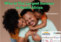 Who is The Largest Insurer in South Africa